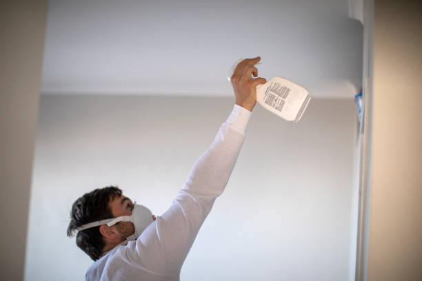 Reliable West Sharyland, TX Mold Removal Solutions