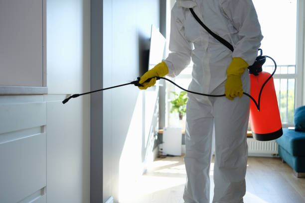 Best Toxic Mold Removal  in West Sharyland, TX