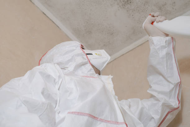 Best Mold Removal and Inspection  in West Sharyland, TX