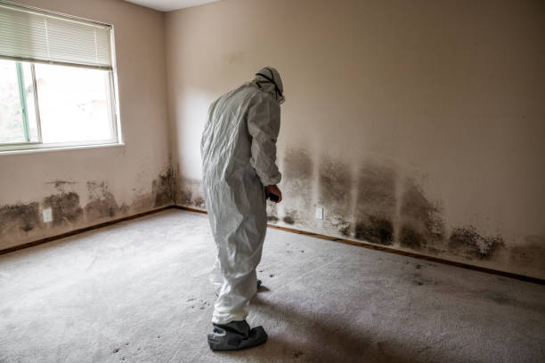 Best Mold Testing  in West Sharyland, TX